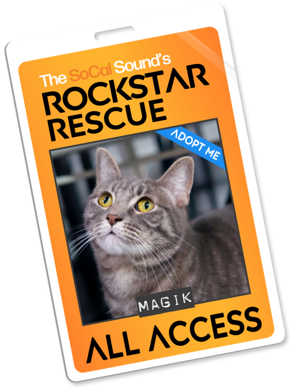 KCSN RockstarRescue PotW 102025 4 Pass