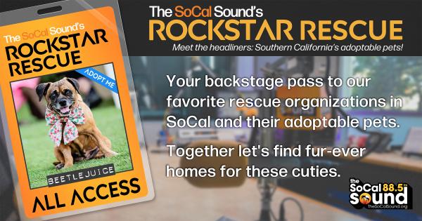 KCSN RockstarRescue PotW 092425 1 1200x630