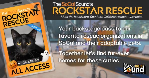 KCSN RockstarRescue PotW 102725 CreateOutlines FACEBOOK 1200x631