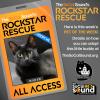 Put this little black kitty on your RADAR - our PET OF THE WEEK!